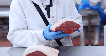 Food Service