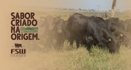 FSW Carnes: sabor criado na origem